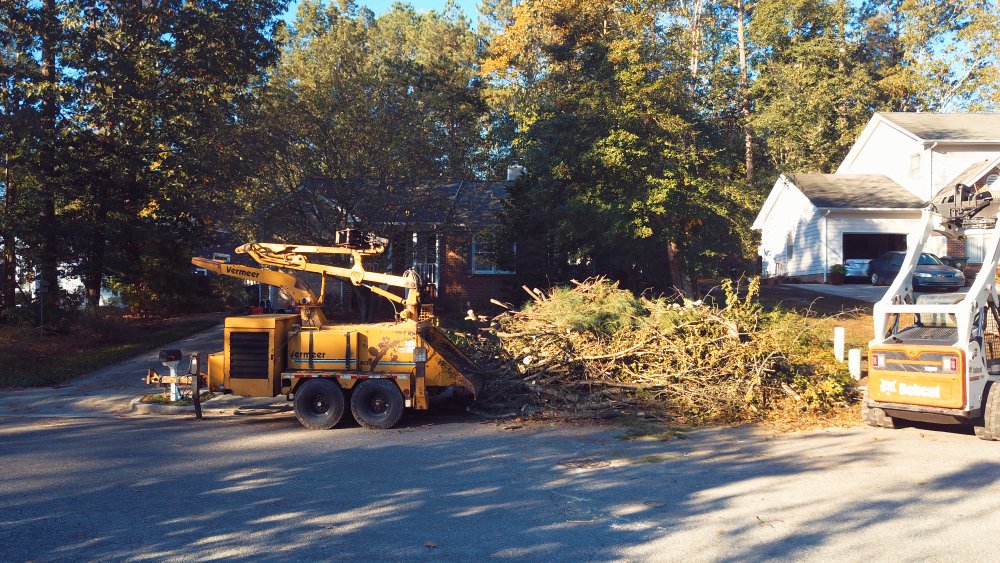 Mr. Beaver Tree Service - tree service in Raleigh, NC