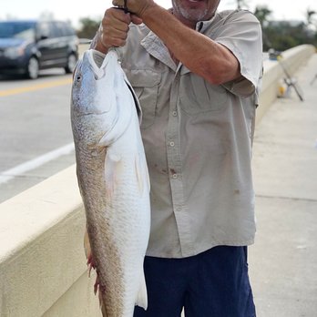 Turner Beach - Bull red! Can't believe this guy brought this catch up from the bridge. He was a catch and release. - Beaches Near Me - Captiva, Florida