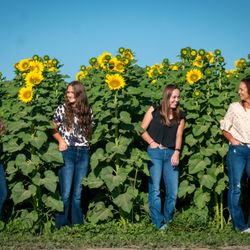 Warm Belly Farm - Cottage Grove