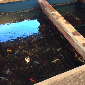 The Lobster Stop - Live lobster! - Seafood Near Me - Quincy, Massachusetts