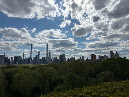 The Cantor Roof Garden Bar by null