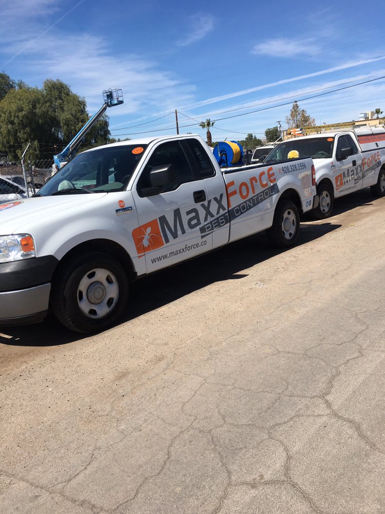 MAXX FORCE PEST CONTROL 35 Photos Yuma, Arizona Pest Control