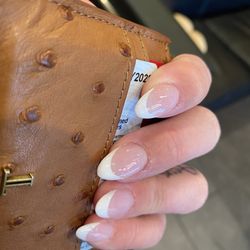 Dip with extension and French tip ($60)