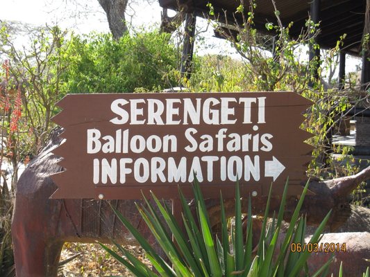 Thomson Safaris by null