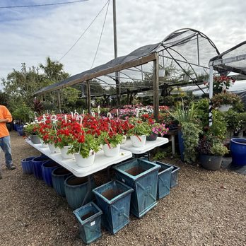 Keep It Green Nursery & Landscape - Nurseries & Gardening Near Me - Apollo Beach, Florida Keep It Green Nursery & Landscape - Nurseries & Gardening Near Me - Apollo Beach, Florida