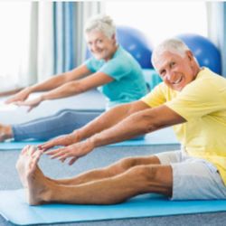 Custom Body Fitness for Seniors