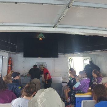 Diver Ed's Dive-In Theater - Boat Charters Near Me