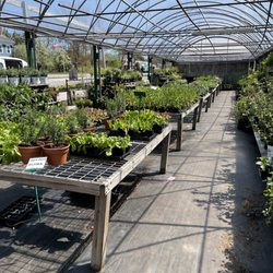 Pezza Farm - Bright and airy greenhouses