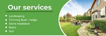 Affordable Landscaping - tree service in Colorado Springs, CO