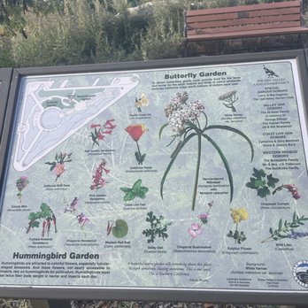 Cluff Vista Park - Butterfly garden - Parks Near Me - Ojai, California Cluff Vista Park - Butterfly garden - Parks Near Me - Ojai, California