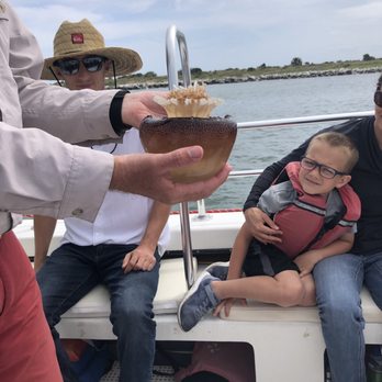 St Augustine Eco Tours - Learning about the canon ball jelly fish - Tours Near Me - Saint Augustine, Florida