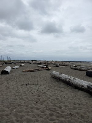 Wreck Beach by null