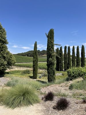 L'Aventure Winery by null