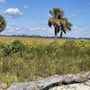 Photo of Fort Pulaski National Monument