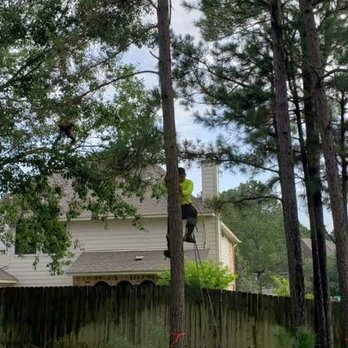 Lonestar Arbor Systems - Tree Services Near Me - Houston, Texas Lonestar Arbor Systems - Tree Services Near Me - Houston, Texas