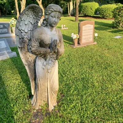 Greenwood Cemetery by null