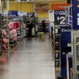 Loose dog in the store Loose dog in the store