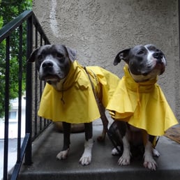 Bailey took GREAT care of them. :)