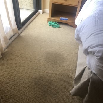 Seascape Beach Resort - Stains on carpet and rag left by house cleaner - Venues & Event Spaces Near Me - Aptos, California