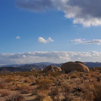 Coyote Corner - Souvenir Shops Near Me - Joshua Tree, California Coyote Corner - Souvenir Shops Near Me - Joshua Tree, California