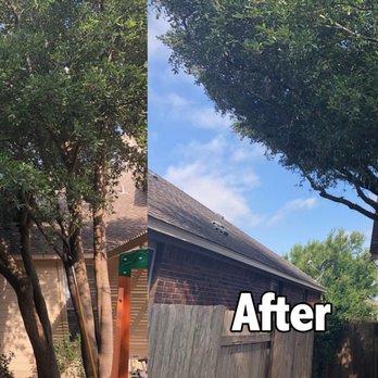 Vista Tree Service - Tree Services Near Me - Waianae, Hawaii