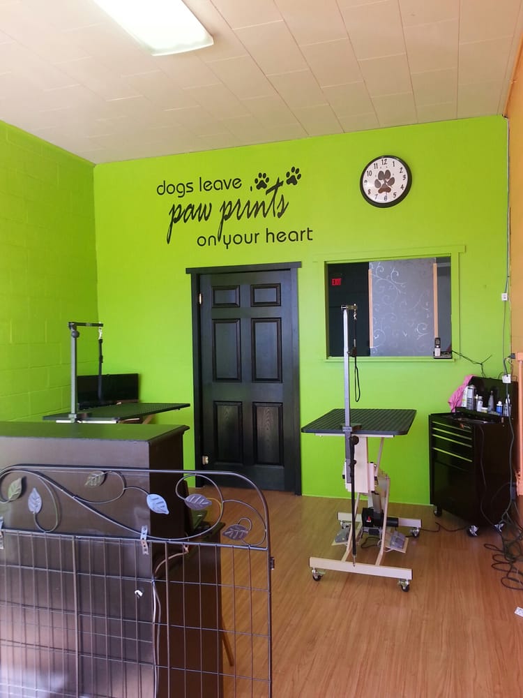 PAMPERED PETS GROOMING Updated September 2024 20 Reviews 6048 SW