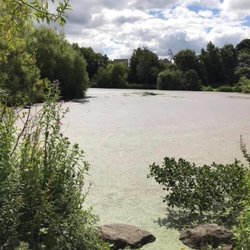 Figgate Burn Park