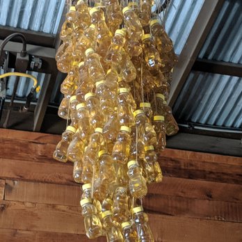 Blackbird Tavern - Honey Jar Lamp - Gastropubs Near Me - Temecula, California