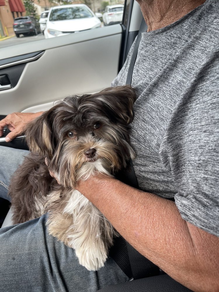 PRECIOUS PAWS GROOMING ‘N PET MARKET Updated September 2024 17