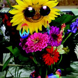 Yorktown Grange Fair - Flower Power