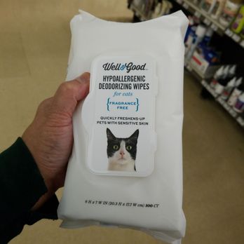 kitten diapers petco