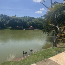 Churrascaria Toca Frango Grelhado