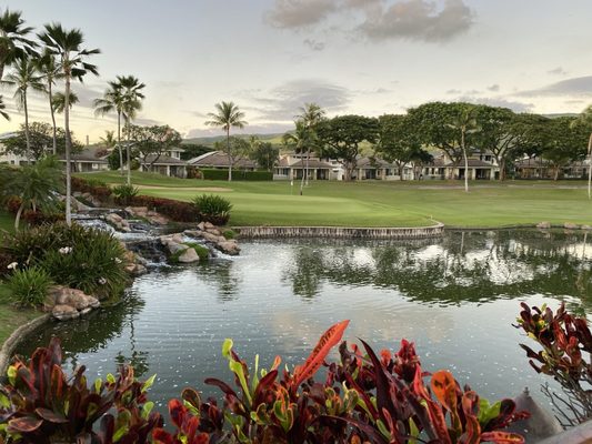 Roy's Ko Olina by null