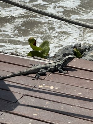 Maria del Mar Boutique Hotel & Spa by null