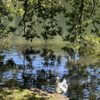 Roger Williams Park gift card