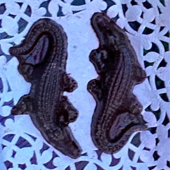 Le Crocodile Restaurant - Chocolate crocodiles - French Near Me - Vancouver, British Columbia Le Crocodile Restaurant - Chocolate crocodiles - French Near Me - Vancouver, British Columbia