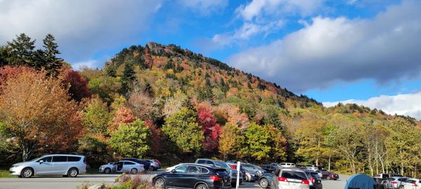 Grandfather Mountain by null