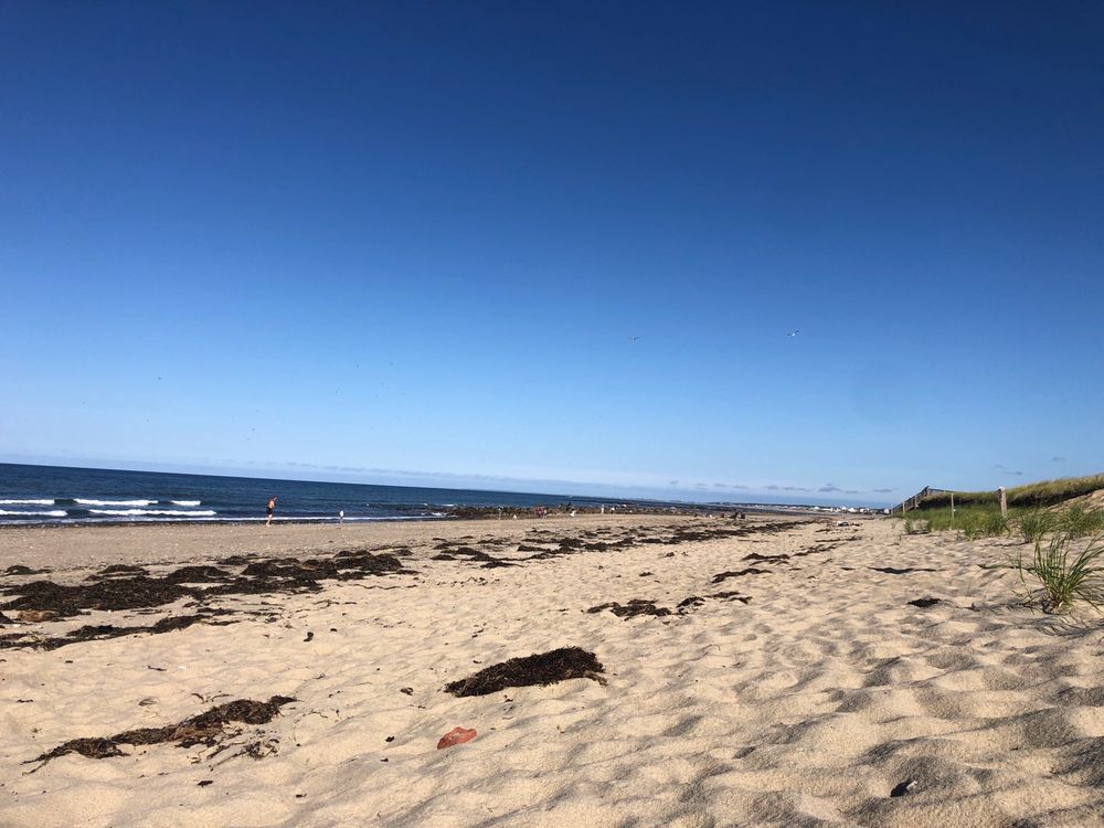 homes for sale town neck sandwich ma