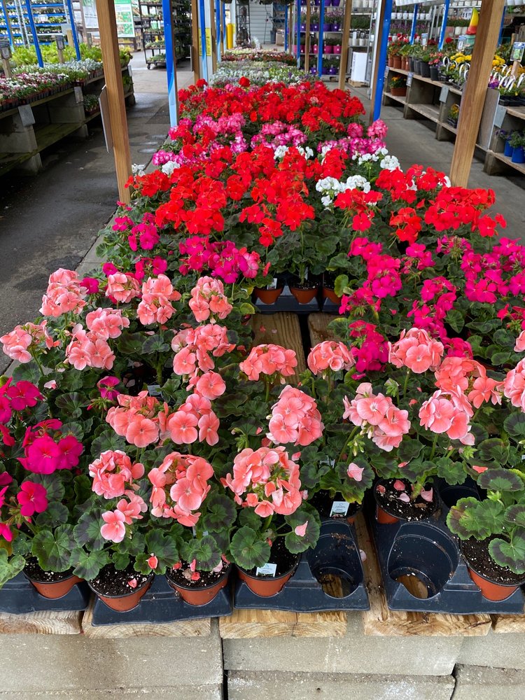 MENARDS Updated September 2024 24 Photos & 31 Reviews 6405