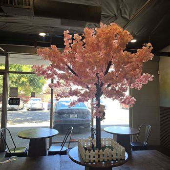 Lazi Cow - Tree - Desserts Near Me - Davis, California Lazi Cow - Tree - Desserts Near Me - Davis, California