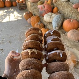 Donuts made at Jacquemin Farms Donuts made at Jacquemin Farms