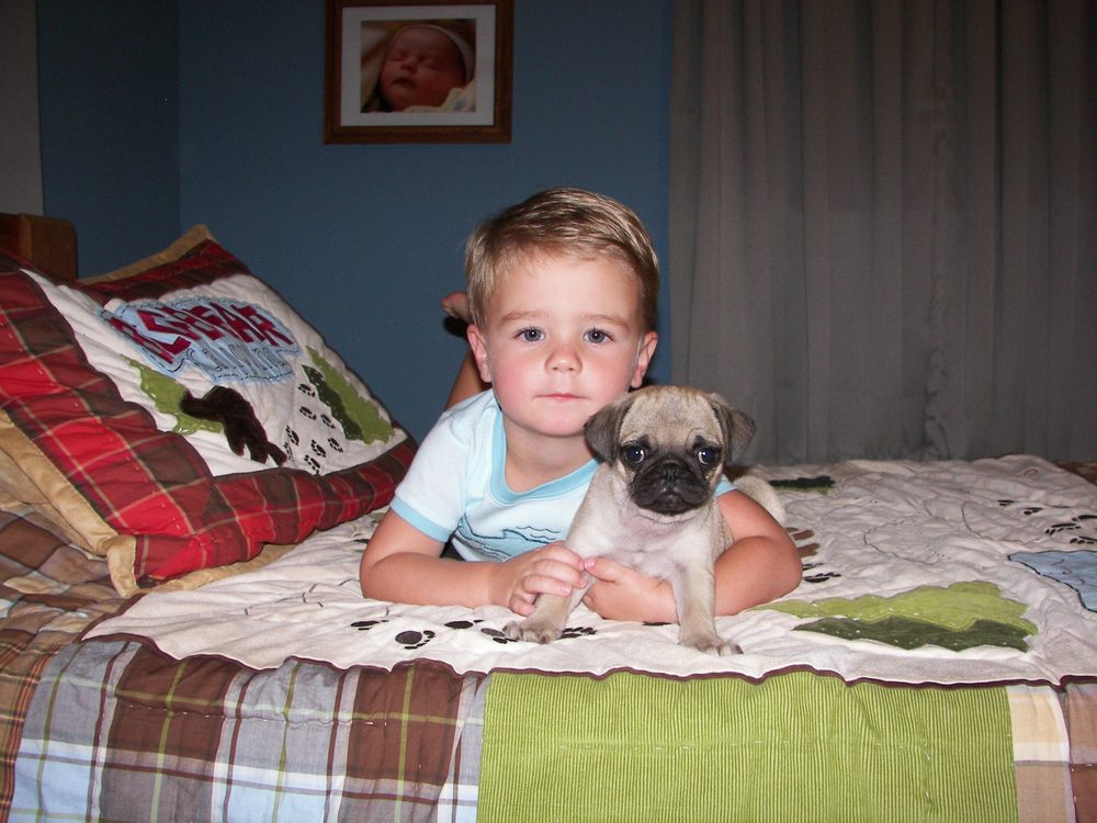 HAVEAHEART BOARDING KENNELS Updated July 2024 27 Photos 3825 E