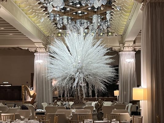 Palm Court by null
