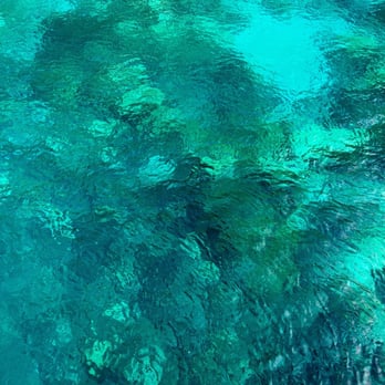 Kealakekua Bay - The water - VN - Beaches Near Me Kealakekua Bay - The water - VN - Beaches Near Me