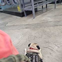 Quik Trip Laundromat - @milopugadventures