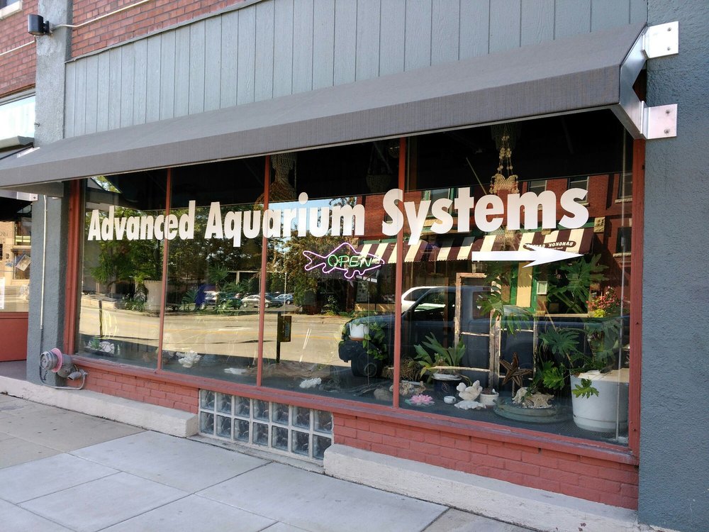 ADVANCED AQUARIUM SYSTEMS GREEN BAY Updated September 2024 10