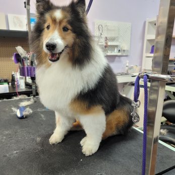 EarthWise Pet - Pet Groomers Near Me - Easton, Pennsylvania EarthWise Pet - Pet Groomers Near Me - Easton, Pennsylvania