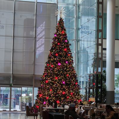 JW Marriott Los Angeles L.A. LIVE by null