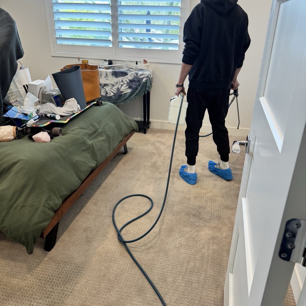 Coconut Cleaning - Carpet Cleaning Near Me - Chandler, Arizona Coconut Cleaning - Carpet Cleaning Near Me - Chandler, Arizona