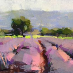 Trisha Adams Fine Art - The lavender fields of Provence.